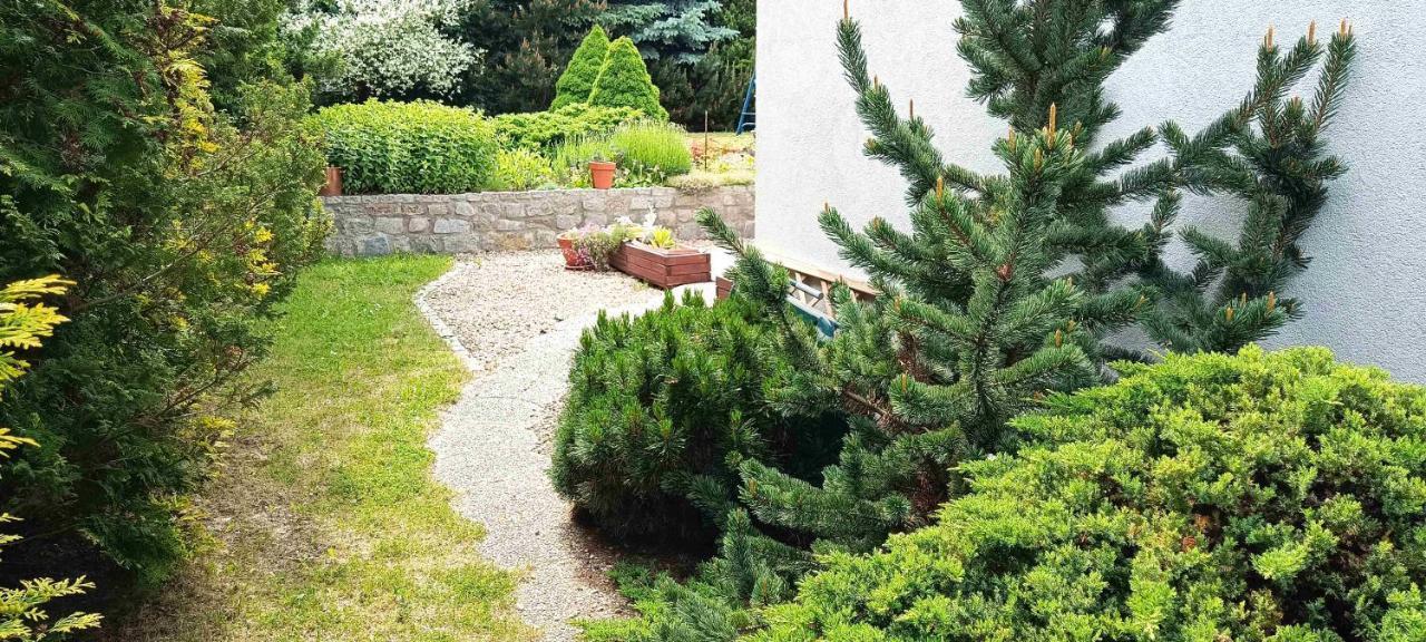 Spokojny Sen Apartment Świdnica